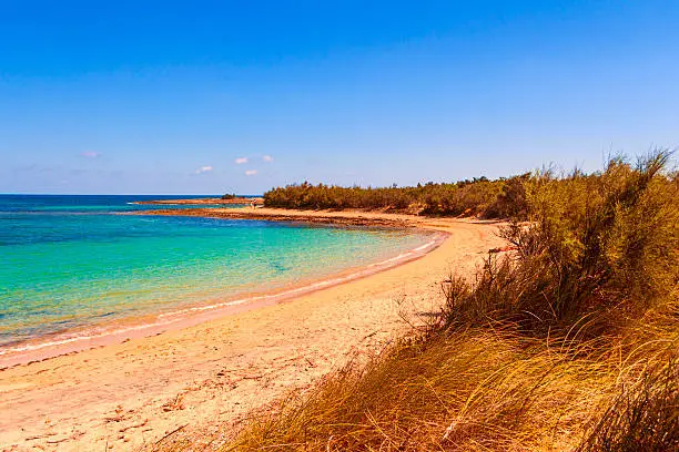 Salento coast: a nature reserve of Torre Guaceto.Carovigno.