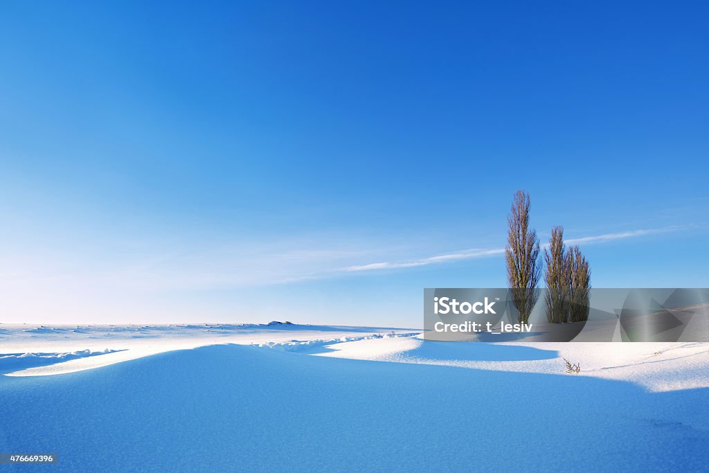 Winter landscape Winter landscape under the morning sun 2015 Stock Photo