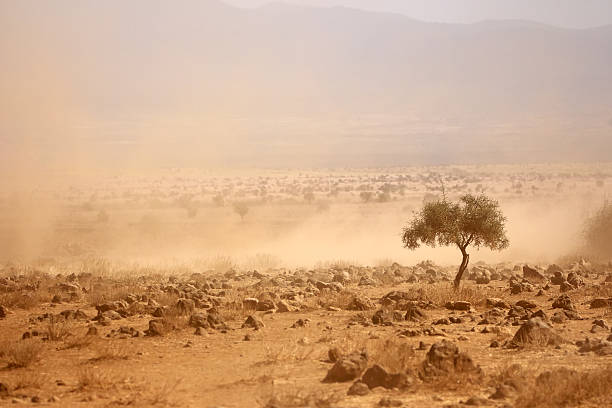 Dusty plains during a drought stock photo