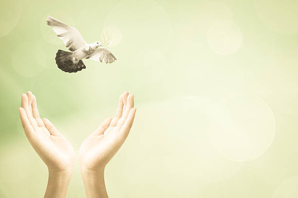 istock Hand releasing a bird into the air , concept design 476671870