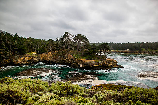 rocks que s'extiende al océano en reserva estatal de point lobos - point lobos state reserve big sur california beach fotografías e imágenes de stock