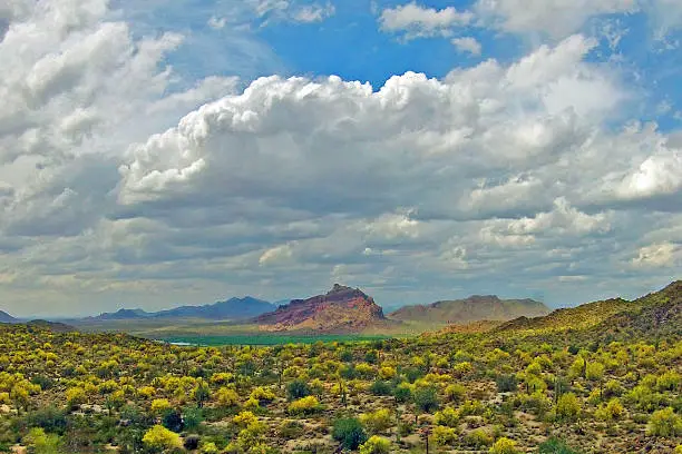 Photo of Red Mountain in Bloom