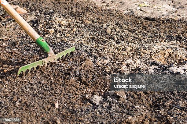 Raking The Ground Stock Photo - Download Image Now - 2015, Activity, Agriculture