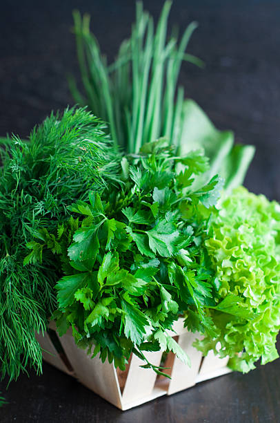 istock Fresh Greens with Lettuce, Mint, Dill and Parsley, Spring onion 476678812