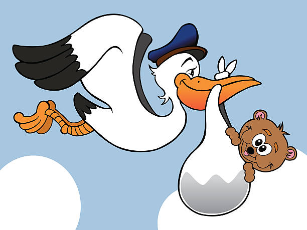 ilustrações, clipart, desenhos animados e ícones de cegonha com urso de bebê - mail cheerful new surprise