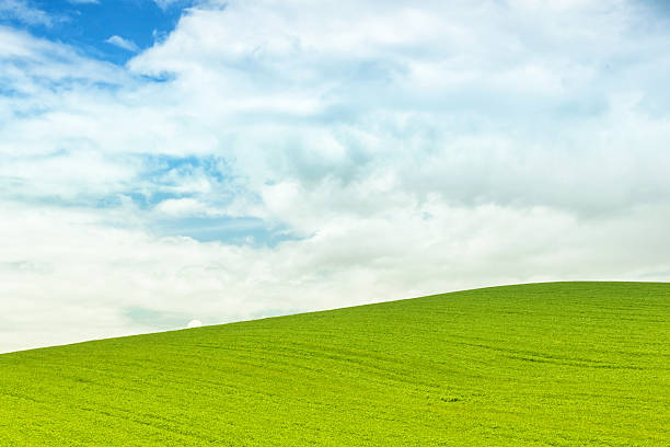 istock Background of green field with blue sky 476683830