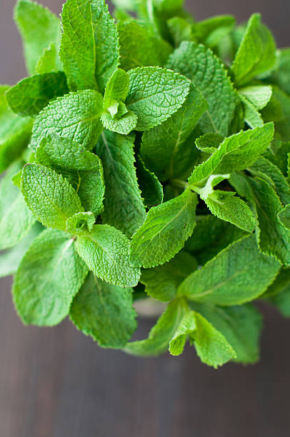 istock fresh mint leaves on a wooden background 476684584