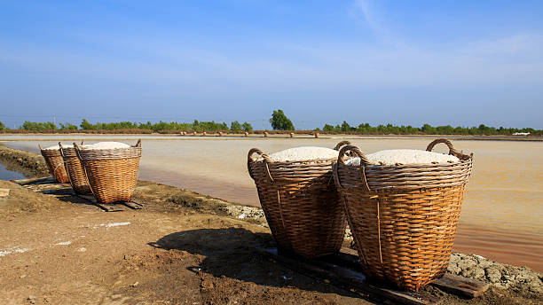 Sea salt in the bamboo basket on salt farm. stock photo