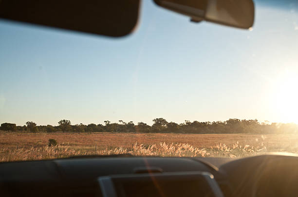 istock Sunny savanna golden field outback from car window 476685570
