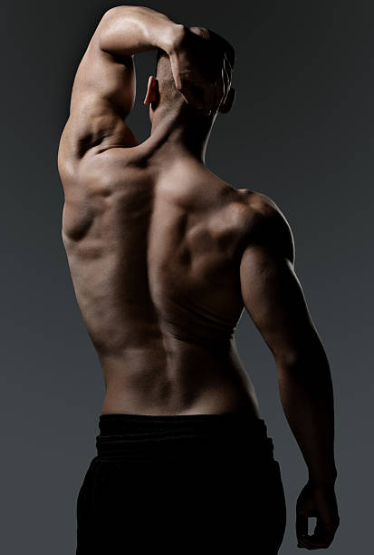 vue arrière d'un homme muscled noir - human muscle back muscular build men photos et images de collection