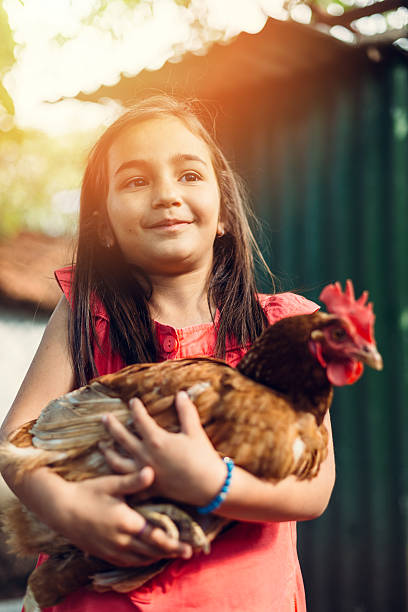 istock Girl hugging a hen 476694420