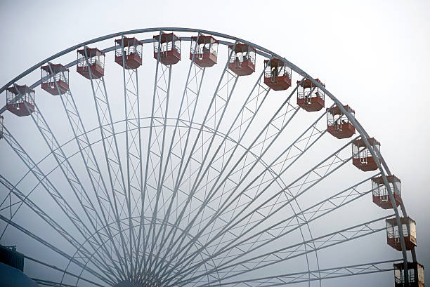 On a foggy day, a prominent Ferris wheel stands tall, while a seagull soars by, crafting a serene atmosphere