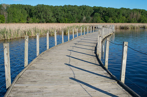 istock Wood Lake Boardwalk and Marshes 476695724