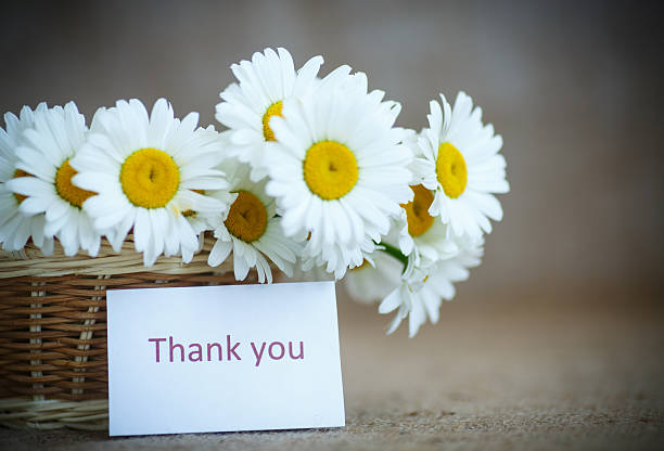 istock beautiful bouquet of summer daisies 476696346