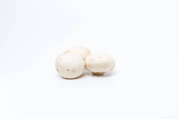 Tasty white champignon mushroom on a white background.