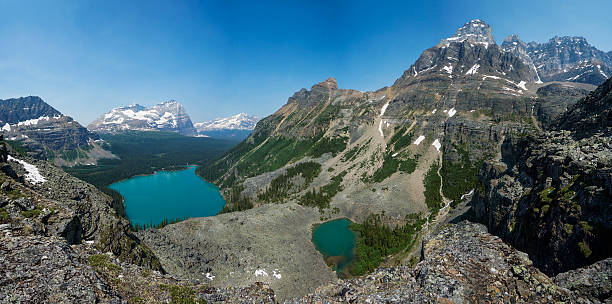 istock Lake O'Hara in Yoho National Park 476699728