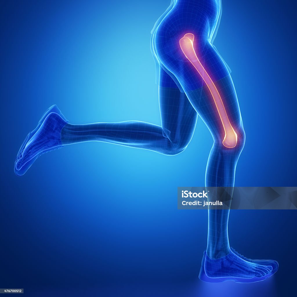 FEMUR - running man leg scan in blue FEMUR - running man leg scan in blue in 3D Femur Stock Photo