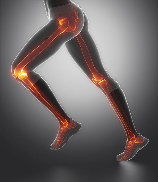 istock Focused on leg bones anatomy 476700586