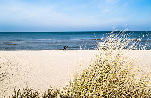 istock Grass sand dune beach sea view, Leba, Baltic Sea, Poland 476701074