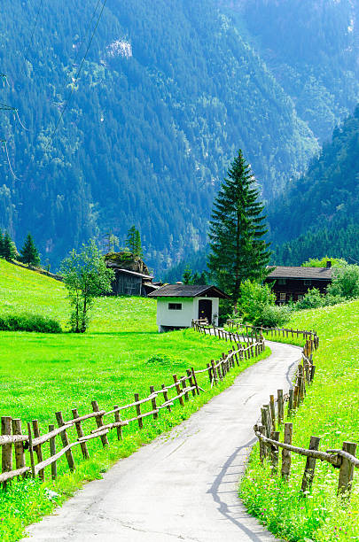 istock Country road and green alpine meadows, Austria 476702754