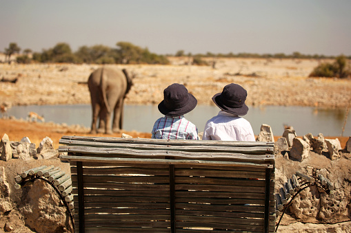 Two children are watching an elephant at the Okaukuejo waterhole in Etosha National Park in Namibia, Africa. This is a rear view image of the twin boys wearing sun hats sitting on a wooden bench and watching a big elephant bull who is drinking water.