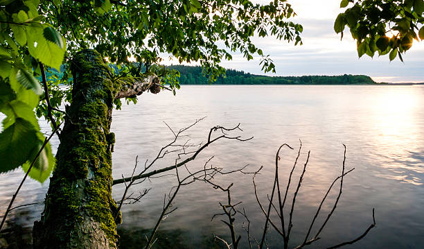 istock sunset at the lake / golden hour 476709750