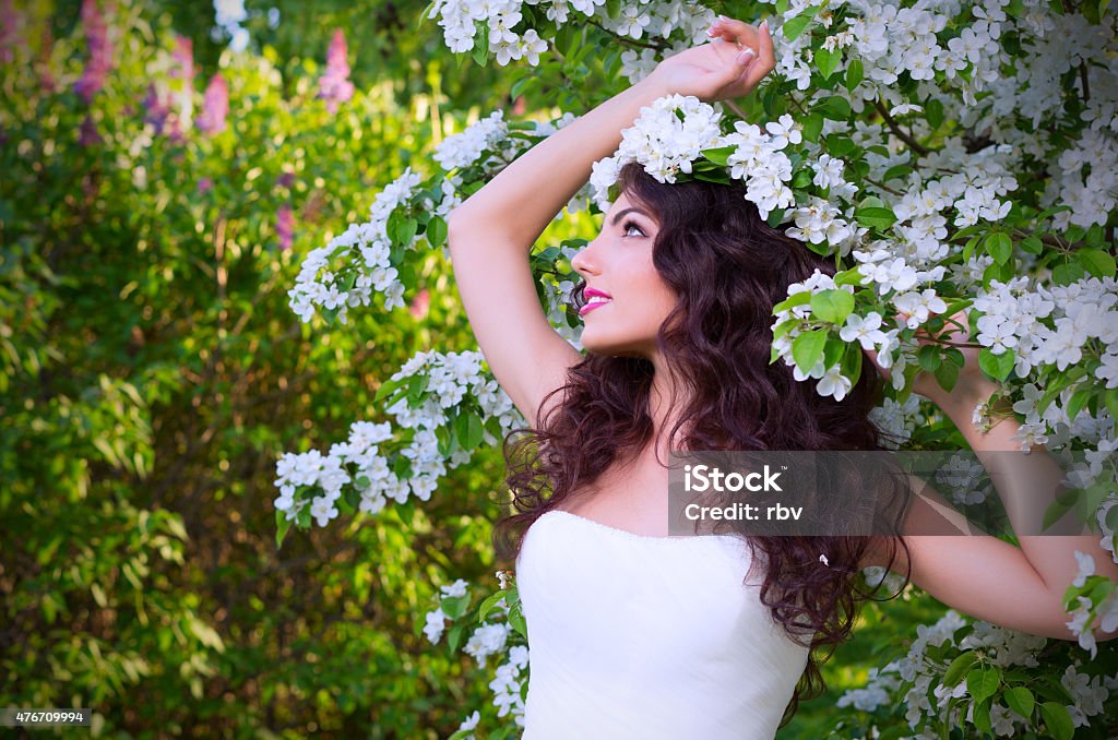 Bride on the background of blooming apple trees Young bride on the background of blooming apple trees 2015 Stock Photo