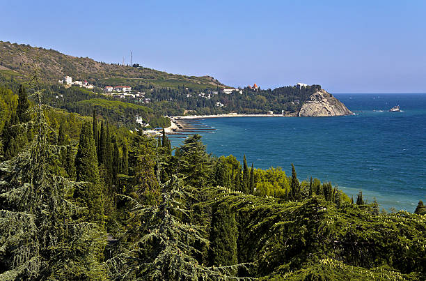 côte sud de crimée. - pinaceous photos et images de collection