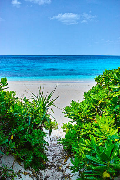 istock Entrance to the beach 476715154