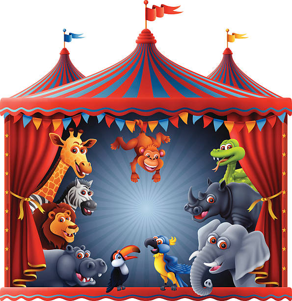 짐승 매직 서커스 - circus animal stock illustrations