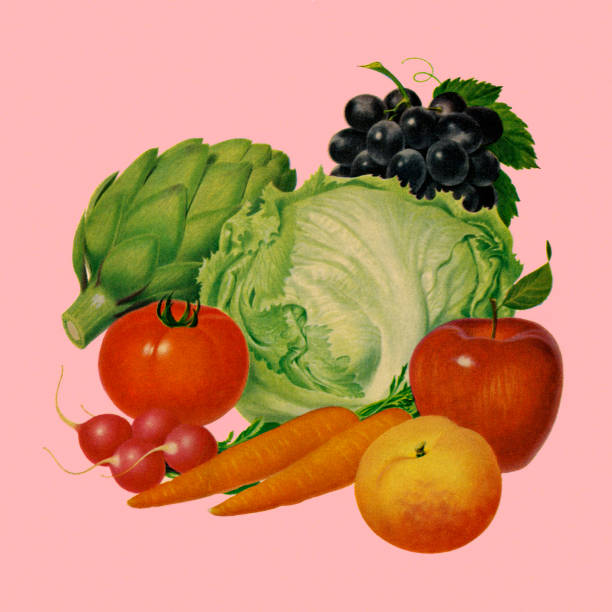 illustrazioni stock, clip art, cartoni animati e icone di tendenza di frutta e verdura - artichoke food vegetable fruit