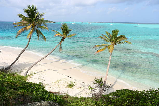 Wonderful Tropical Beach St-Vincent And The Grenadines Grenadines St-Vincent and the Grenadines beach tobago cays stock pictures, royalty-free photos & images