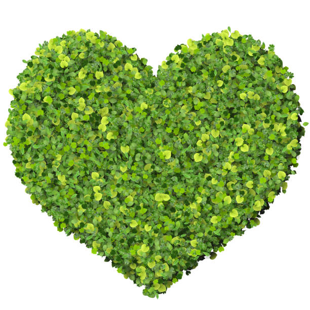 istock Playing card eco icon heart, made from green leaves 476724884