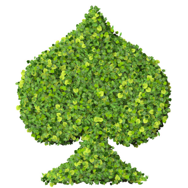 istock Playing card eco icon spades, made from green leaves 476725986