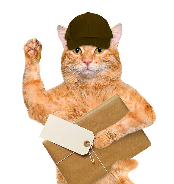 istock Cat with brown paper parcels delivery . 476728974