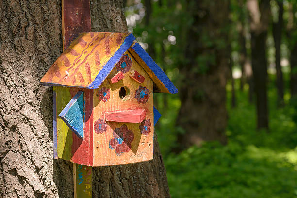 istock Bird Shelter in the Wood 476729410