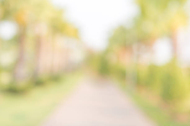 istock Out of focus , Garden Walkway 476731778