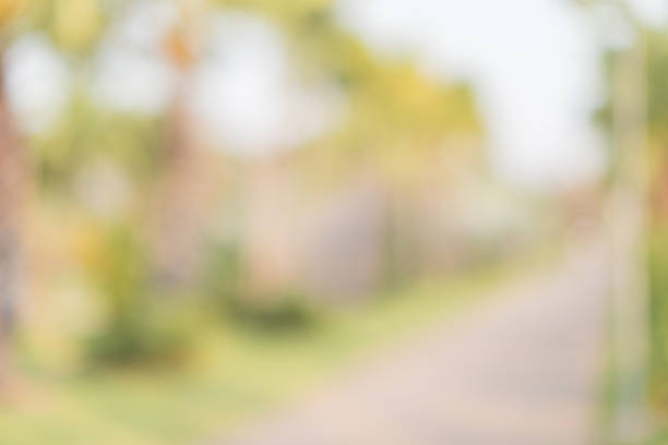 istock Out of focus , Garden Walkway 476731782