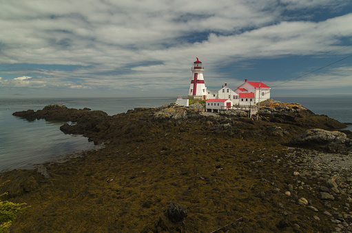 Low tide reveals bed of seaweed around East Quoddy Head Light on Campobello Island in New Brunswick Canada.