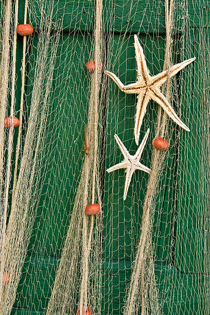 istock starfish in fishing net 476735360