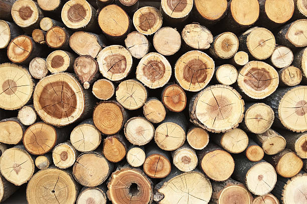 istock Pile of tree stumps, woods structure 476737544