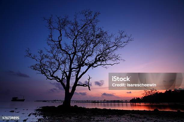 Tropicale Lone Tree - Fotografie stock e altre immagini di Acqua - Acqua, Acqua stagnante, Alba - Crepuscolo