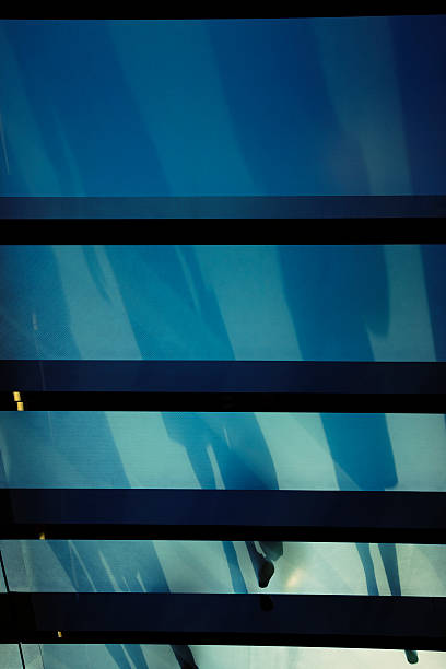 istock People seen from below as silhouettes through elevated glass walkway 476739191