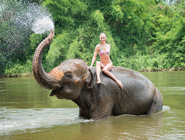 istock Woman bathing with an Elephant 476741776