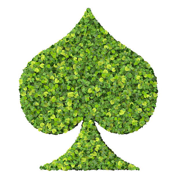 Playing card eco icon spades, made from green leaves stock photo