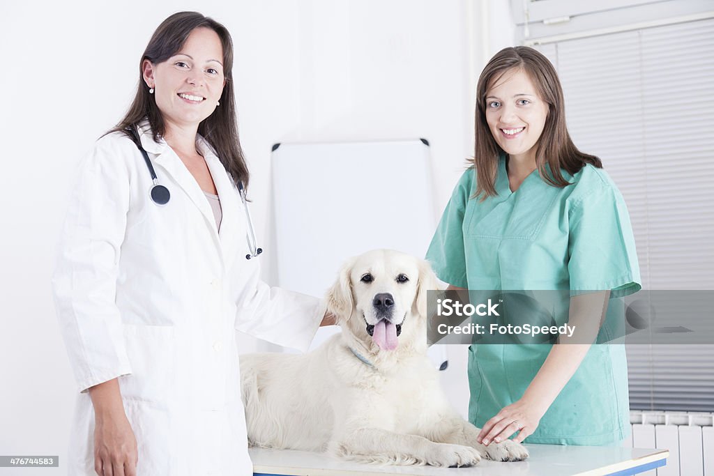 Donna sorridente sana veterinari con cane - Foto stock royalty-free di Cane