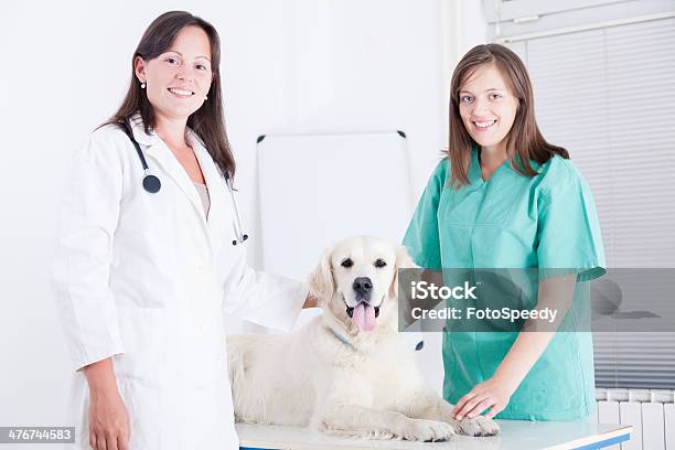 Donna Sorridente Sana Veterinari Con Cane - Fotografie stock e altre immagini di Cane - Cane, Infermiere, Tenere