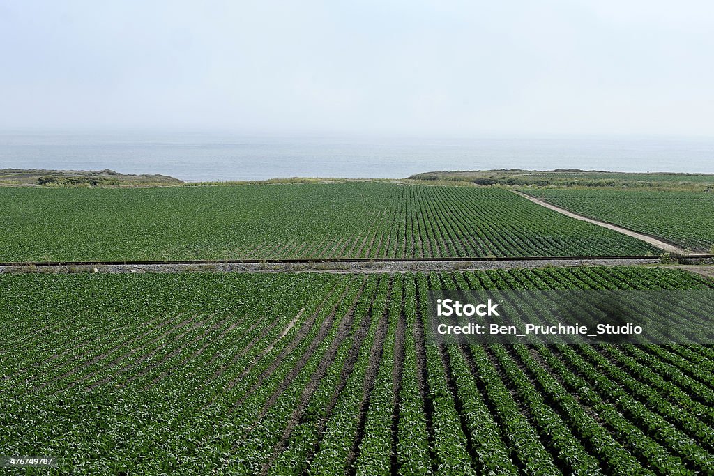 Farm am Highway 1, Kalifornien - Lizenzfrei Abenteuer Stock-Foto