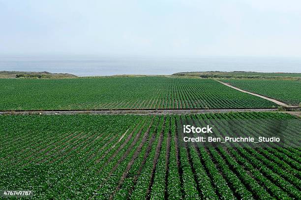 ファーム Highway 1 カリフォルニア州 - アメリカ合衆国のストックフォトや画像を多数ご用意 - アメリカ合衆国, カリフォルニア州, カリフォルニア州道1号線