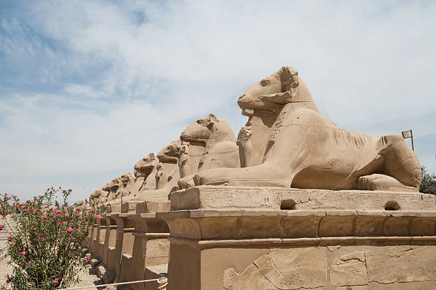 istock ancient egypt statues of sphinx in Luxor karnak temple 476750906